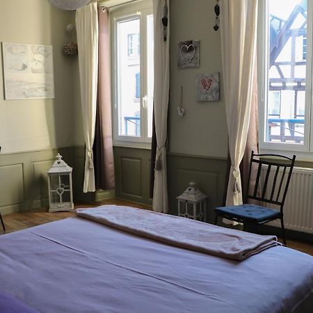 Gite Moka45 Centre Historique "Climatise" Colmar Kültér fotó